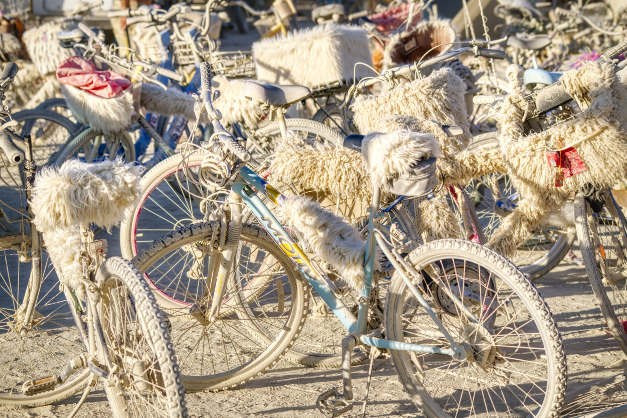 Burning Man 2019   1511